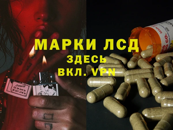 стаф Нея
