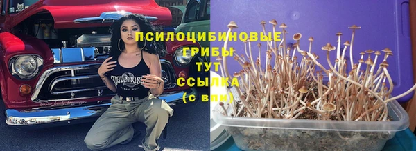 амф Нефтегорск