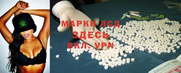 сатива Нефтекумск