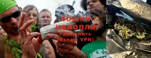 сатива Нефтекумск