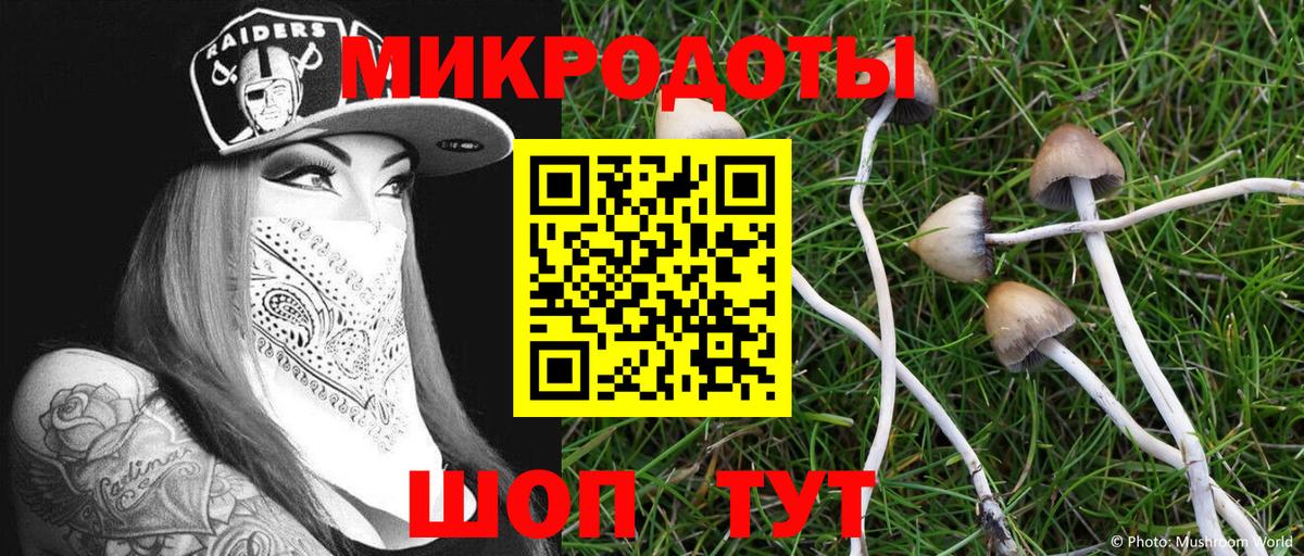 Псилоцибиновые грибы GOLDEN TEACHER Серов