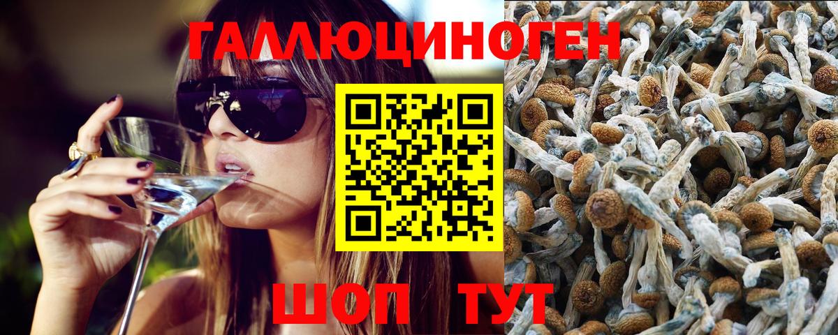 купить закладку  Вход с VPN  Серов  Псилоцибиновые грибы прущие грибы  Галлюциногенные грибы MAGIC MUSHROOMS 